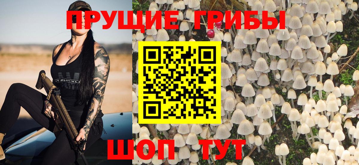 Коммунар  Псилоцибиновые грибы мухоморы  Вход с VPN 