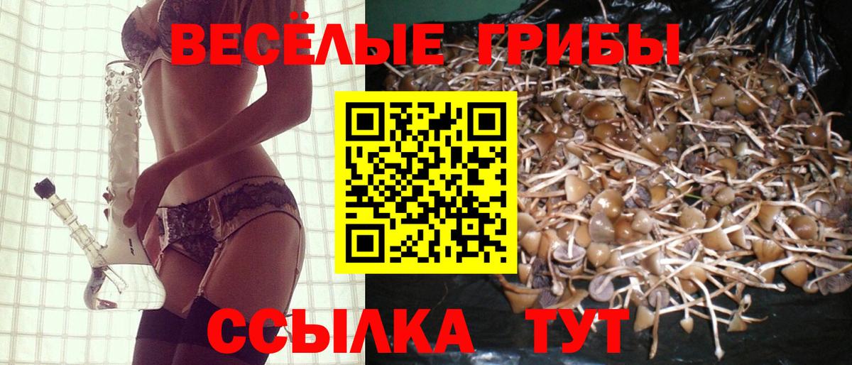 Галлюциногенные грибы прущие грибы Коммунар